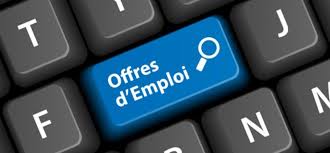Débouchés professionnels